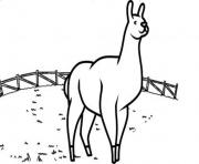 cute llama print sd314