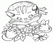 cat that loves flower animal sdd7e