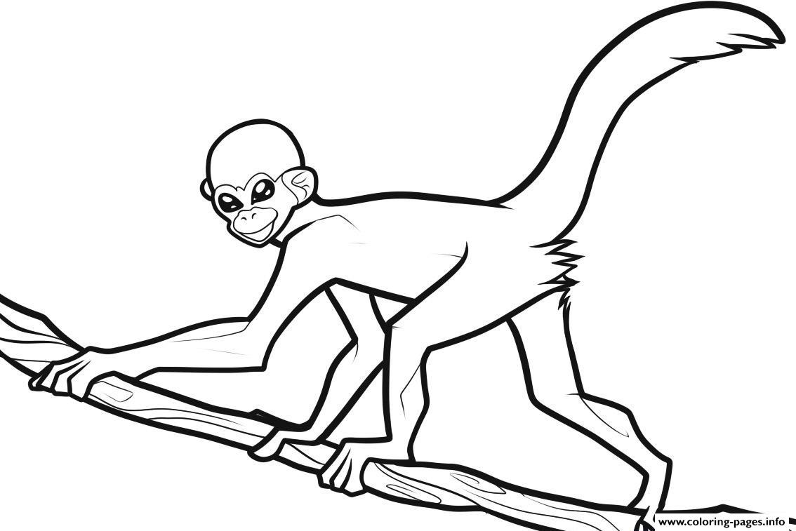 monkey-printables-with-free-printable-monkey-for-kids-coloring-page