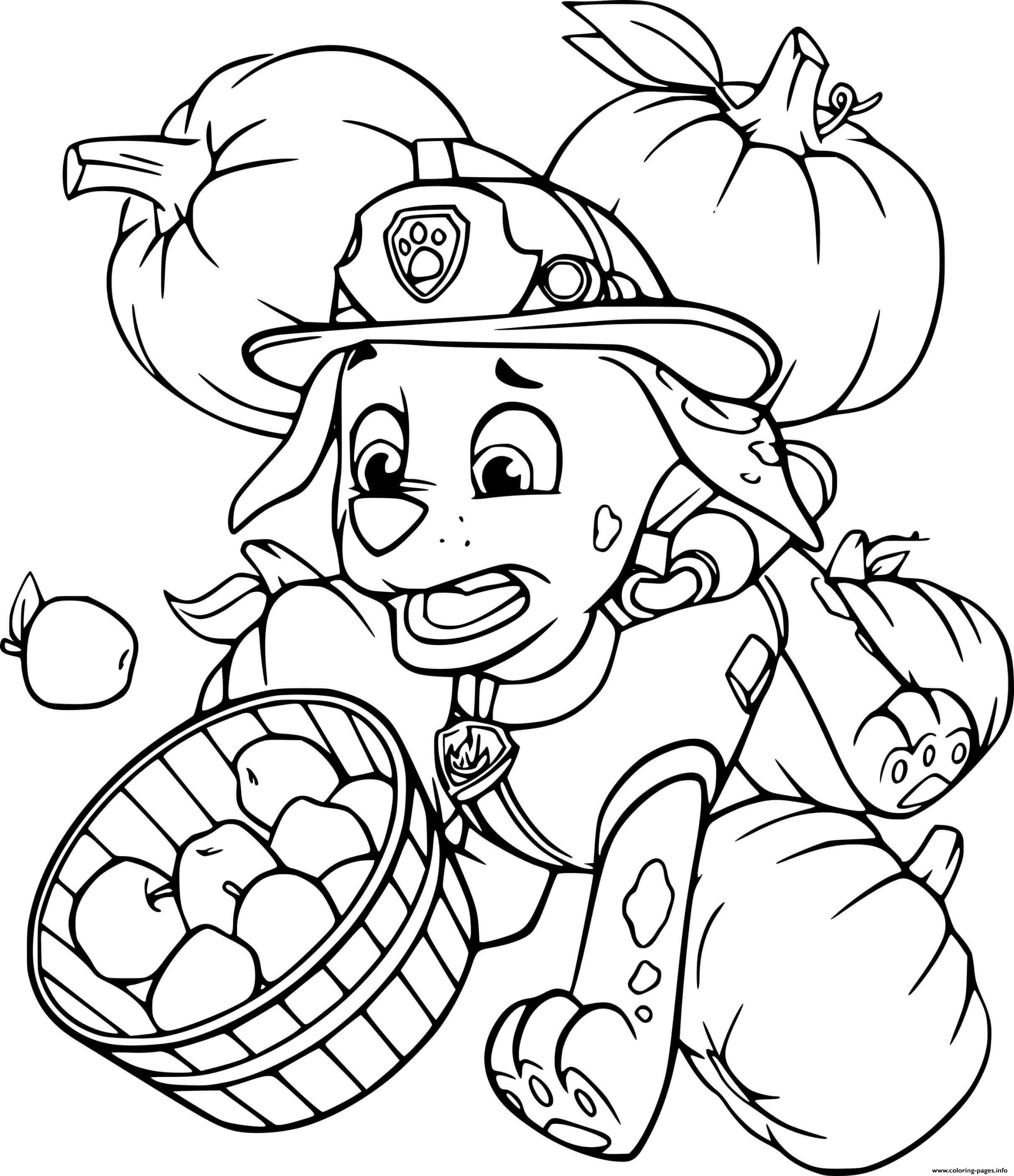 Marshall Harvests Pumpkins And Apples coloring