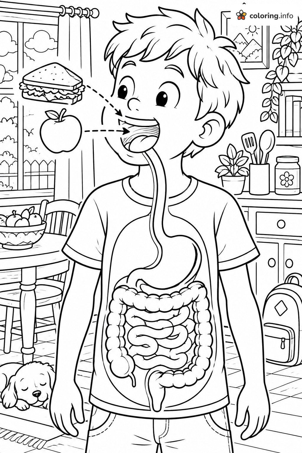 How Food Digests: Digestive Anatomy With a Boy in the Kitchen coloring sheet How Food Digests: Digestive Anatomy With a Boy in the Kitchen coloring sheet
