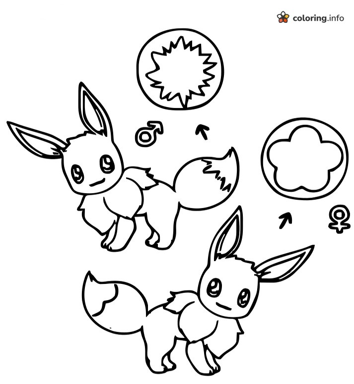 Male vs Female Eevee Tail Shapes coloring sheet Male vs Female Eevee Tail Shapes coloring sheet