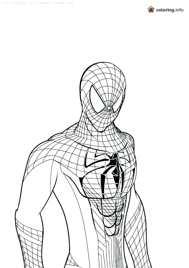 Waist-Up Spider-Man Portrait With Fine Web Lines coloring page Waist-Up Spider-Man Portrait With Fine Web Lines coloring page