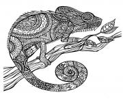 Printable adult cameleon patterns coloring pages