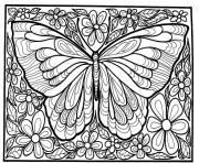 adult difficult big butterfly Coloring Pages