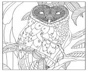 Printable adult barn owl by mizu coloring pages