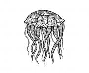 adult zentangle medusa by meggichka