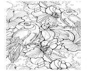 Printable adult parrot difficult coloring pages