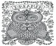 Printable adult owl dreamer coloring pages