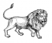 Printable adult africa lion coloring pages
