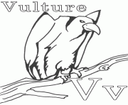 wild vulture alphabet s2570