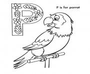 alphabet parrot bird b870