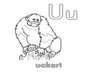 uakari alphabet s free62ce