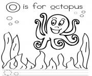 o for octopus alphabet s76db