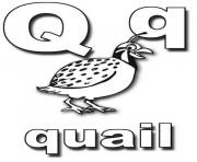 quail alphabet s0053
