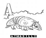 alphabet s printable a for armadillob946