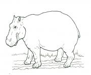 african animal s hippo printablec214