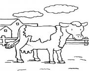 cow s animal farm0660