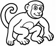 monkey  animal77f7