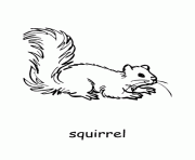 printable animal squirrel sc82f