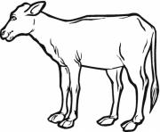 realistic calf farm animal sf047