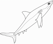 sea animals shark s14bf