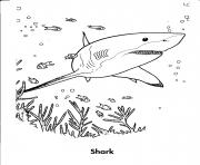 shark s sea animalse526