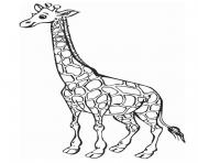 sweet giraffe animal coloring pages7bed