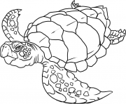 turtle s of sea animalsc3ed