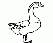 swan goose printable animal s5ff1
