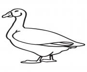 printable animal s goose freea153