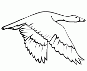 printable animal s swan goose7d5c