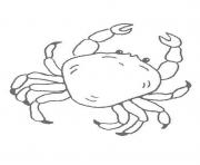 animal crab s072f