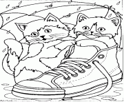 cats in a sneaker animal s1d7b