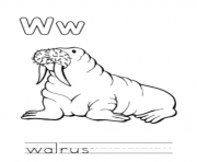 walrus animal free alphabet s6d06