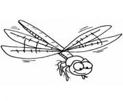 free dragonfly s of animals57ef