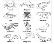coloring pages of sea animals preschool2b83
