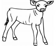 little calf farm animal s8e23
