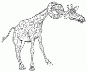 splinted giraffe animal coloring pages0532