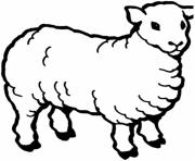 animal sheep b01d