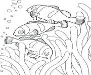 coloring pages of sea animals clown fish53dd