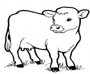 little cow preschool s farm animalsbb1f