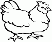 a chicken hen farm animal s0f4f coloring pages