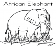 african animal s elephantb3c2