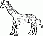 giraffe preschool s zoo animals14cd