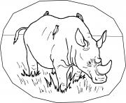 free animal s wild rhino51de