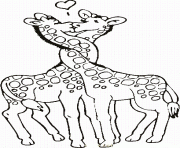 two giraffes in love animal coloring pagesfa06