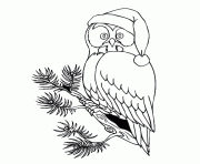 christmas owl s1213