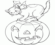 halloween s cat and pumpkincf6f