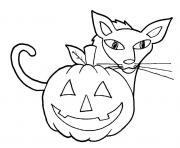 easy halloween cat and pumpkin s for kindergarten27d9
